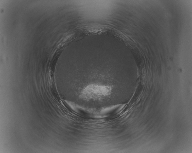 X0000074041394200608281433