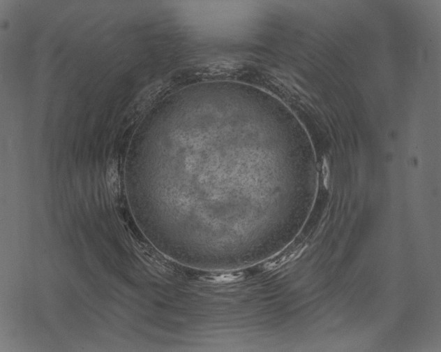 X0000074041395200608281433