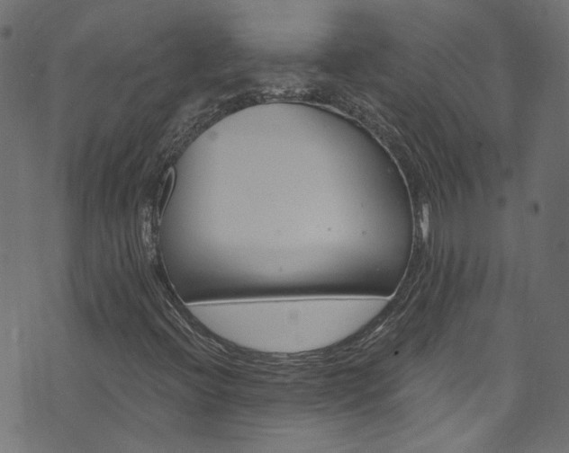 X0000074041396200608281433