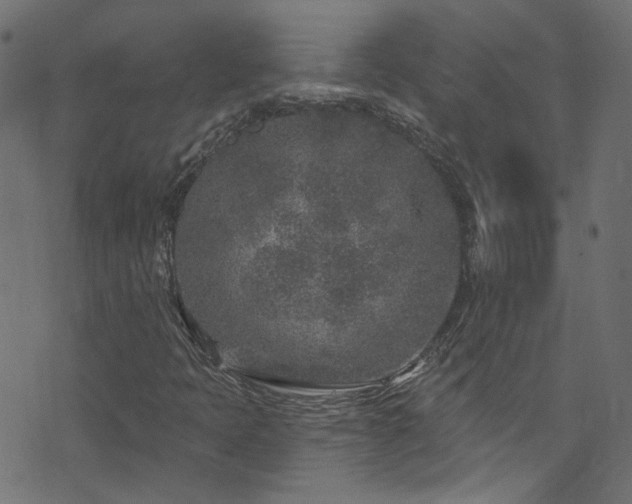 X0000074041397200608281433