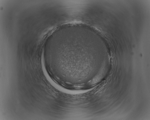 X0000074041398200608281433