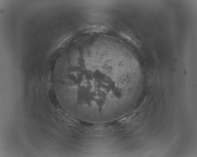 X0000074041399200608281433