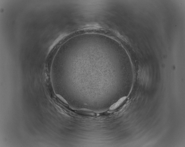 X0000074041400200608281433