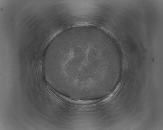 X0000074041401200608281433