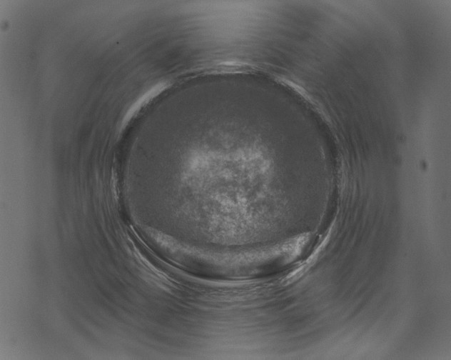 X0000074041402200608281433