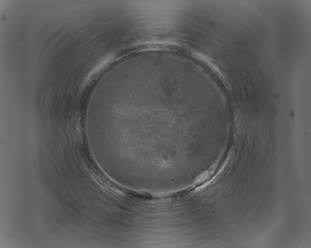 X0000074041403200608281433