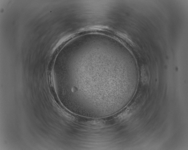 X0000074041404200608281433