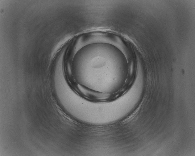 X0000074041406200608281433