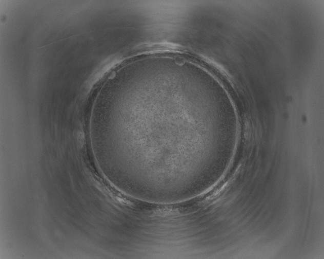 X0000074041407200608281433