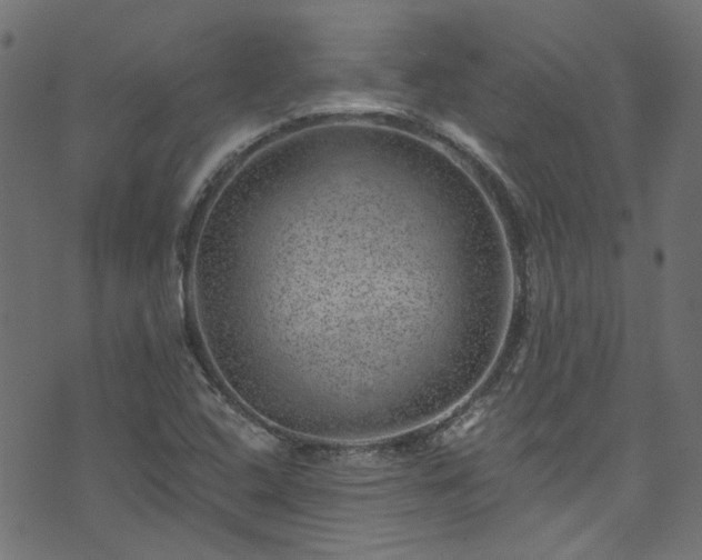 X0000074041408200608281433