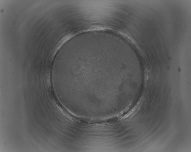 X0000074041409200608281433