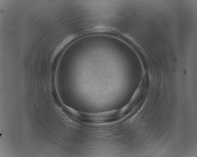 X0000074041410200608281433