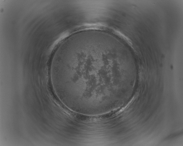 X0000074041411200608281433