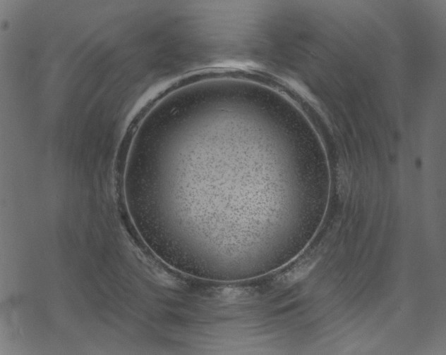 X0000074041412200608281433