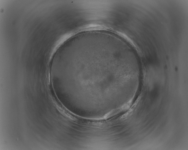 X0000074041413200608281433