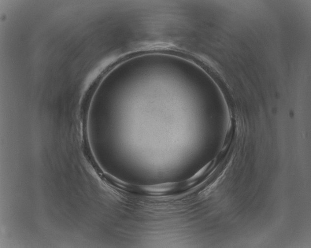 X0000074041414200608281433