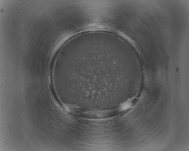 X0000074041415200608281433