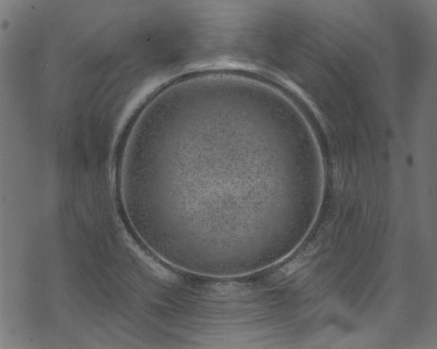 X0000074041416200608281433