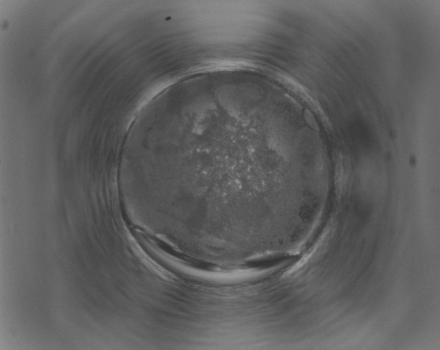 X0000074041417200608281433