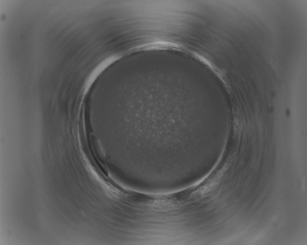 X0000074041418200608281433