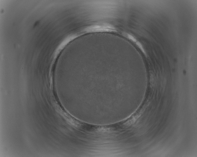 X0000074041419200608281433