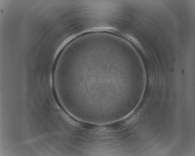 X0000074041420200608281433