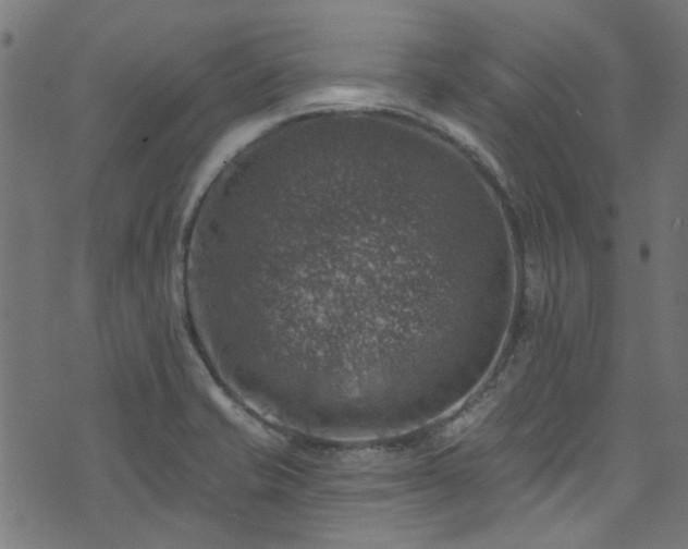 X0000074041421200608281433