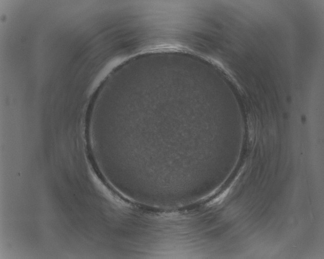 X0000074041422200608281433