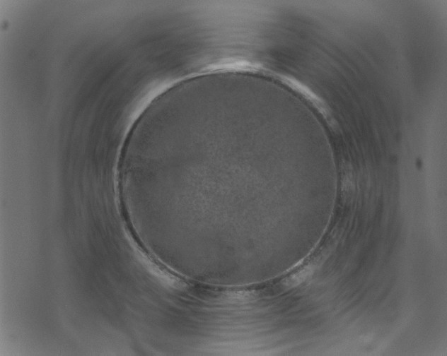 X0000074041423200608281433