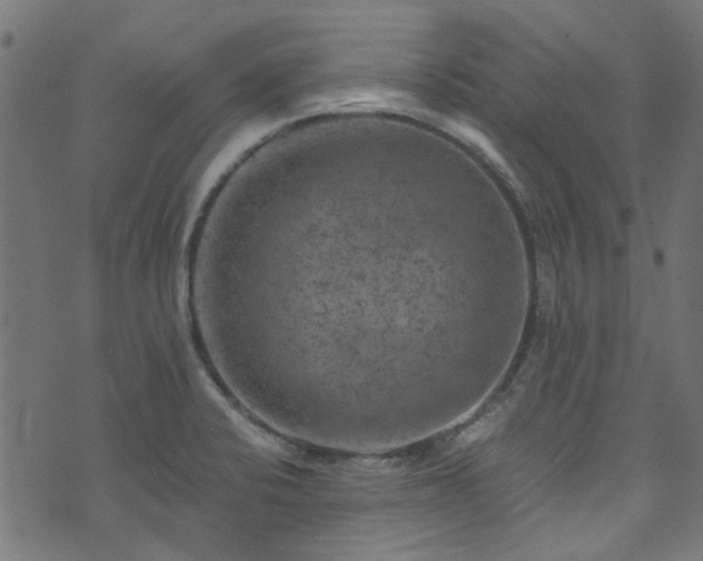 X0000074041424200608281433