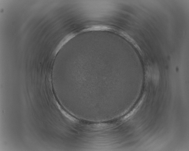 X0000074041425200608281433