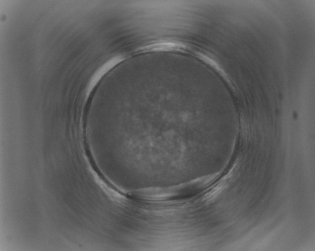 X0000074041426200608281433