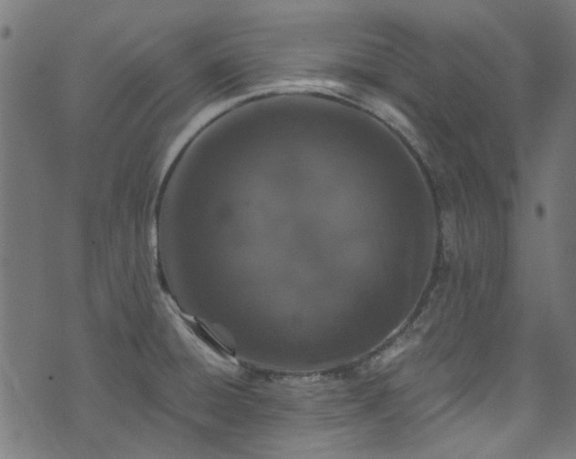 X0000074041428200608281433