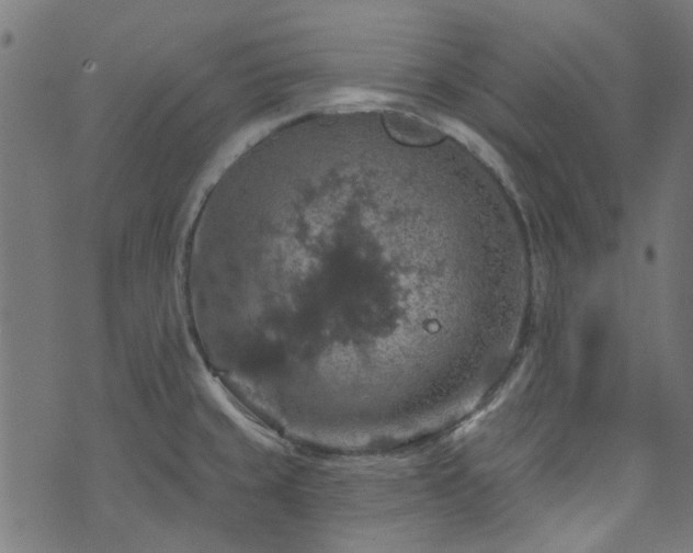 X0000074041429200608281433