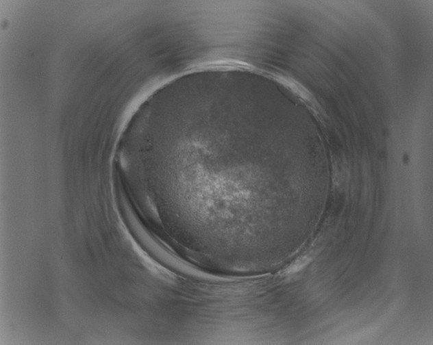 X0000074041430200608281433