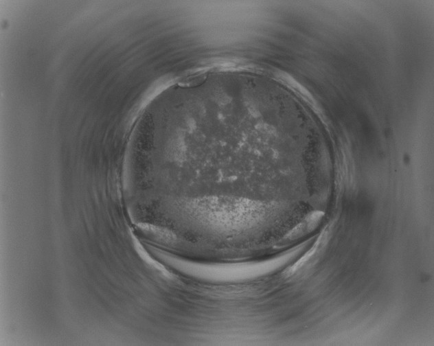 X0000074041433200608281433