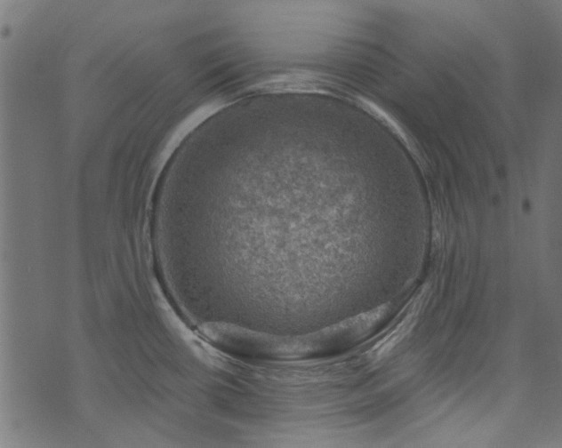 X0000074041434200608281433