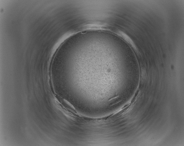 X0000074041435200608281433