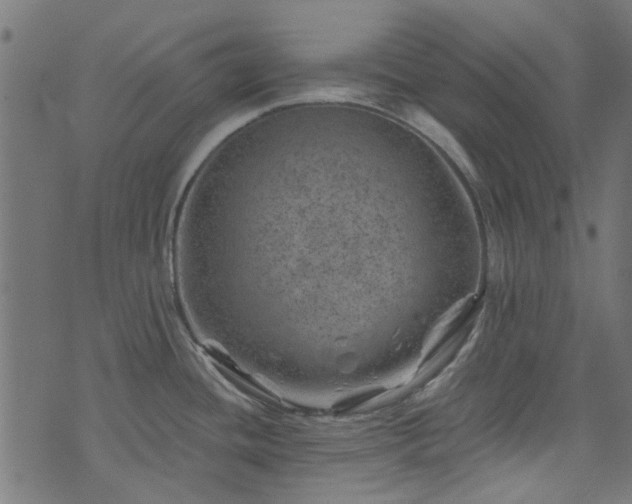 X0000074041436200608281433