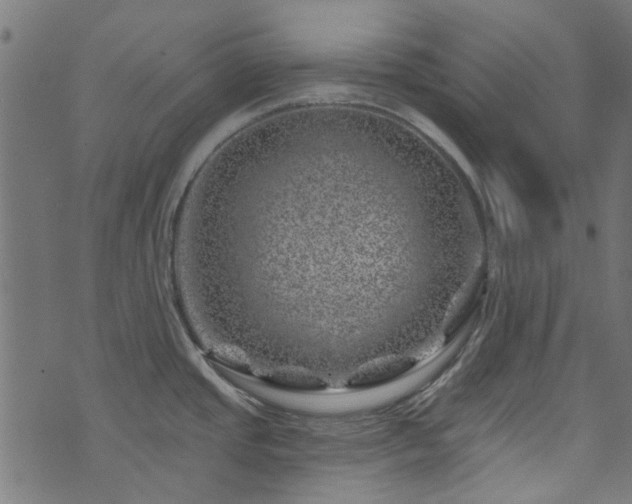 X0000074041437200608281433