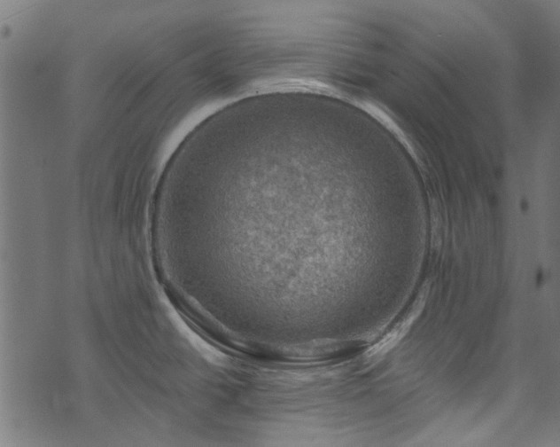 X0000074041438200608281434