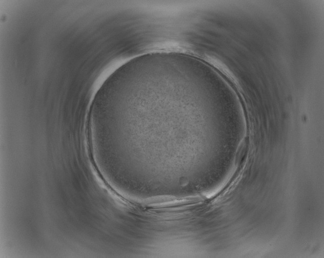 X0000074041440200608281434