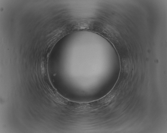 X0000074041442200608281433