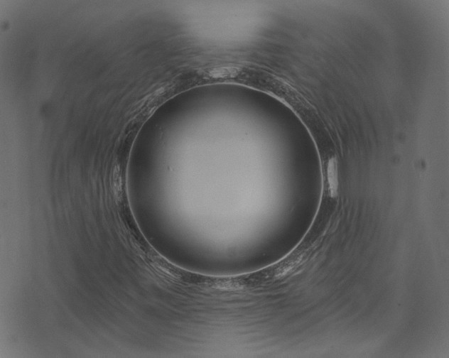 X0000074041443200608281433