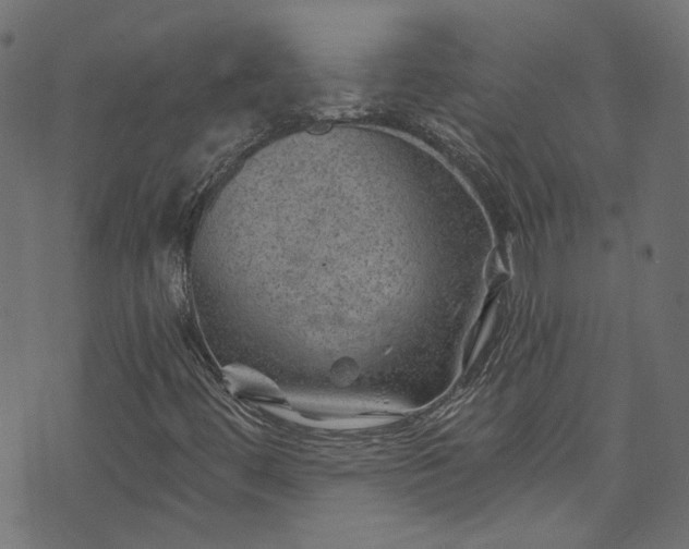 X0000074041444200608281433