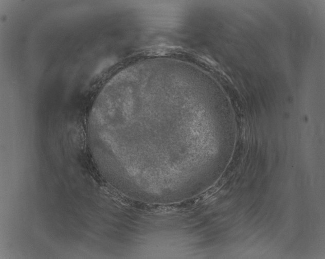 X0000074041446200608281433