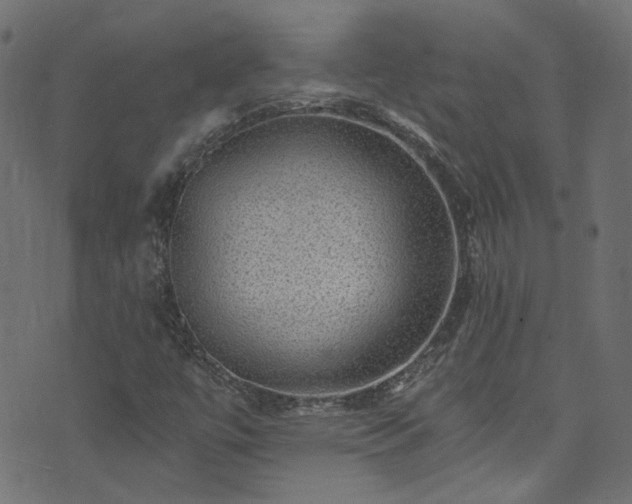 X0000074041447200608281433