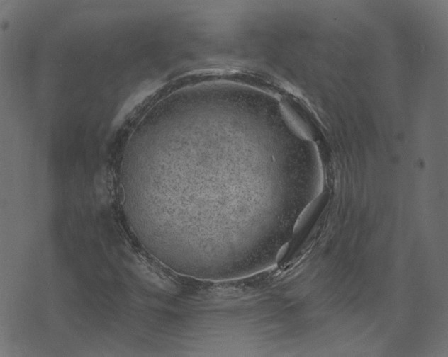 X0000074041448200608281433