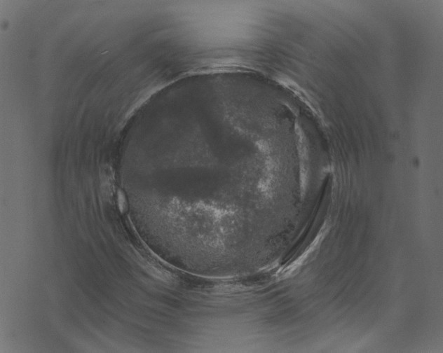 X0000074041449200608281433