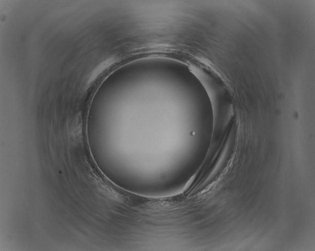 X0000074041450200608281433